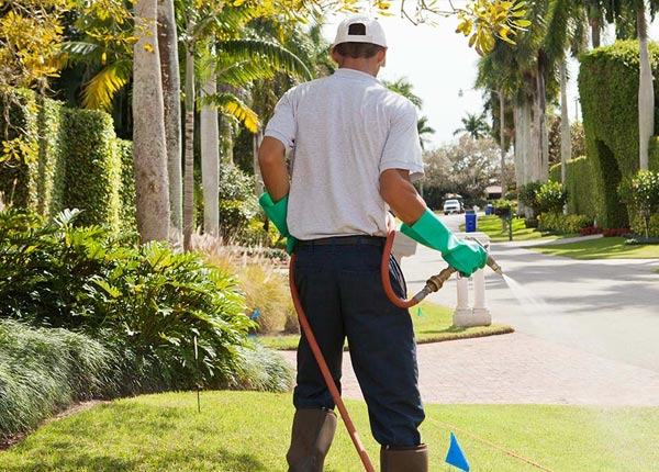 About Snydertown PA Pest Control